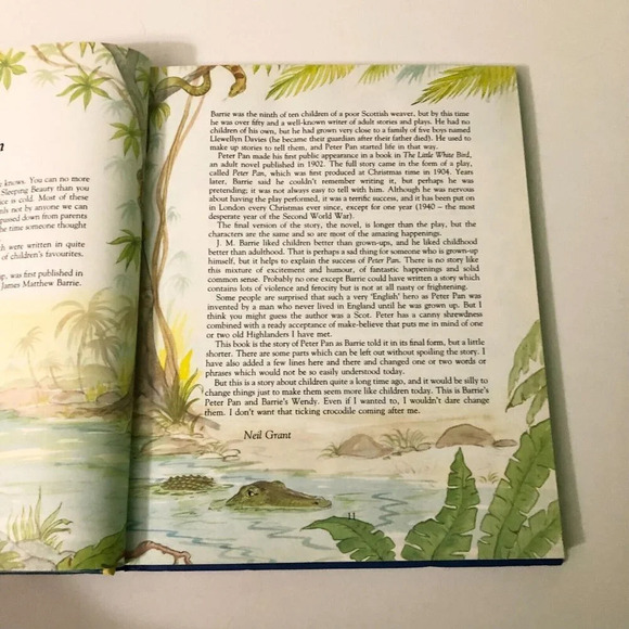 Vtg 1985  Peter Pan J M Barrie Dean Hardcover Book Neil Grant - Picture 12 of 16